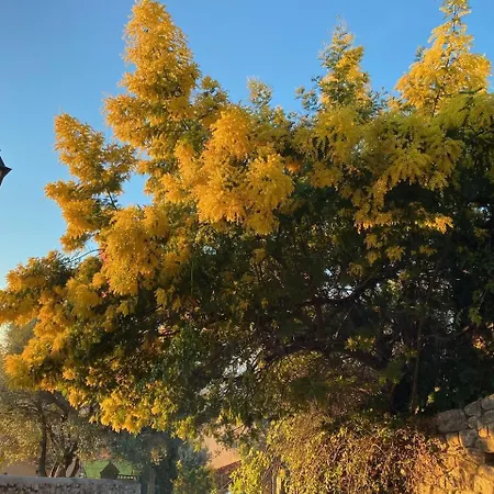 La Sainte Claire 4* Hyères